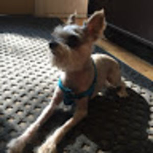 Meet your Posher, Zahra